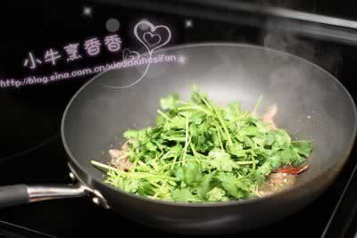 ����ţ��Ƭ������