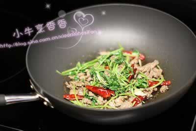 ����ţ��Ƭ������