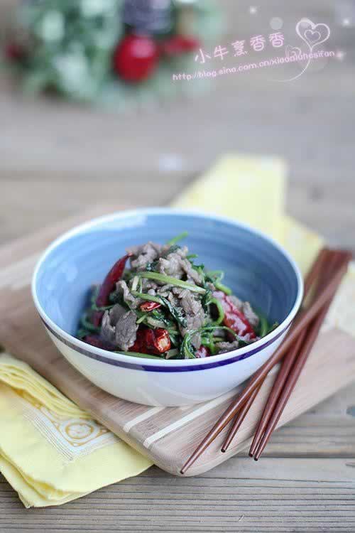 ����ţ��Ƭ������