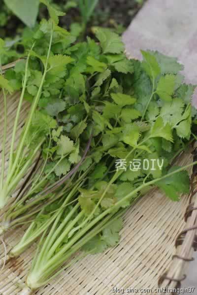 �ܲ���˱�������