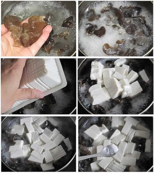 ��Ѫ��������