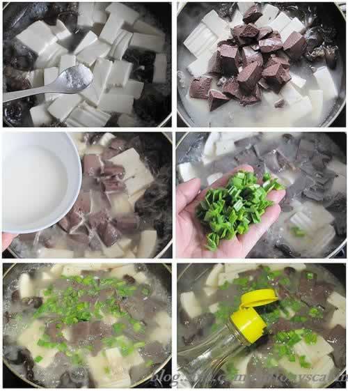 ��Ѫ��������