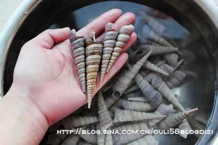 ����׶�ݵ�����