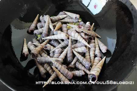 ����׶�ݵ�����