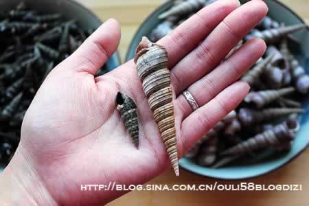 ��ˮ��׶������