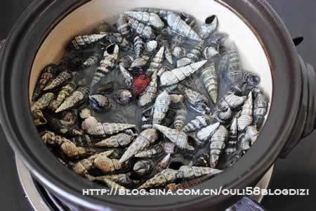 盐水煮海锥的做法