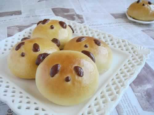 ��ͥ������è���������