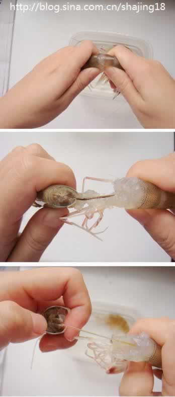 ����������Ϻ�ʵ�����