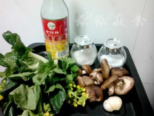 �ʹ����ײ��ĵ�����