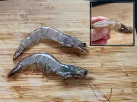 ����̩ʽ��������������