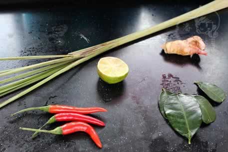 ����̩ʽ��������������