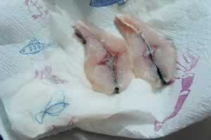 ������������