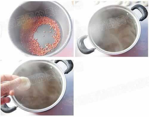 ����춹��������