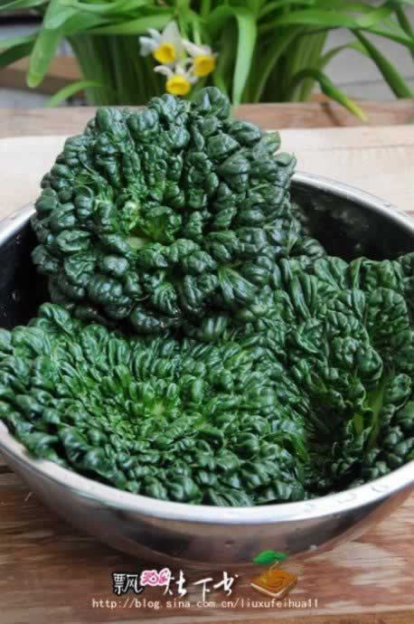 �����˶���⵰�ȵ�����