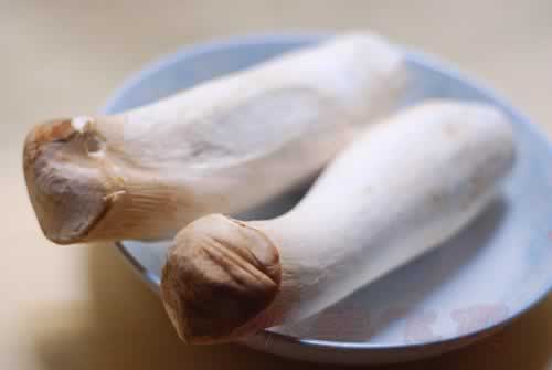 �ӱ�������ţƬ������