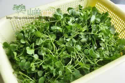 ��Ͳ�ͷ������