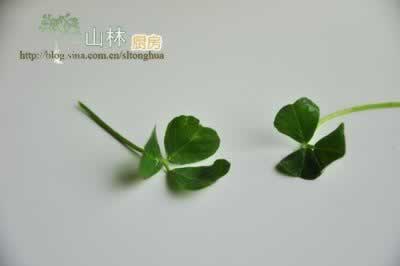 ��Ͳ�ͷ������