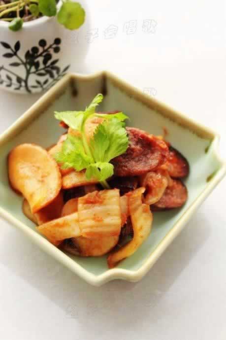 �����ݲ˳��ӱ���������