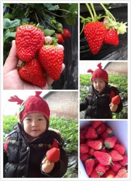 �����Źǵ�����