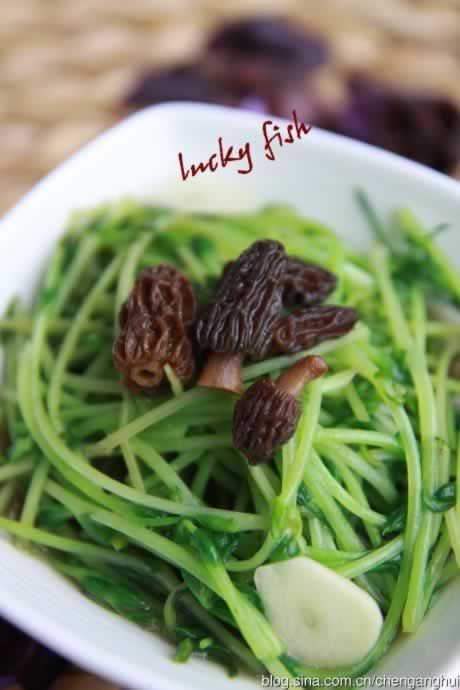 ��Ǿ�Ũ���ж��������