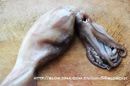 ��ʽ������������