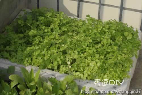 ţ�������������