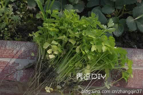 ţ�������������