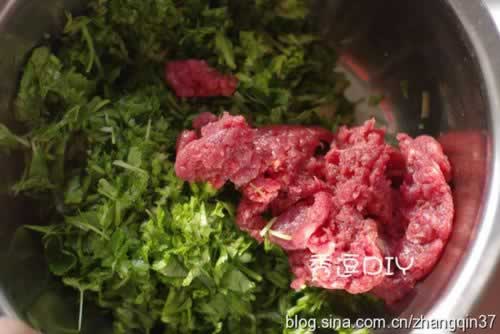 ţ�������������