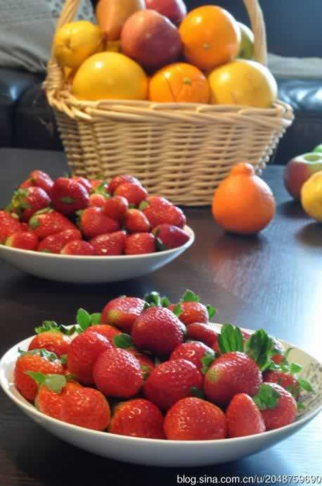 ���Ĳ�ݮ�ɿ���������