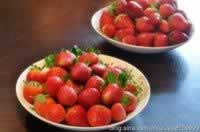 ���Ĳ�ݮ�ɿ���������