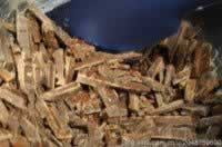 ���Ĳ�ݮ�ɿ���������