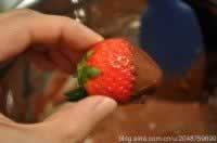 ���Ĳ�ݮ�ɿ���������