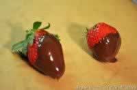 ���Ĳ�ݮ�ɿ���������