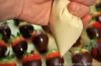 ���Ĳ�ݮ�ɿ���������