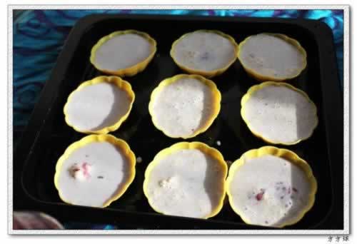 ������ݮ����������