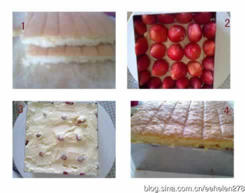 ��ʽ��ݮ���͵��������