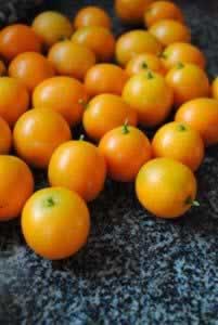 ���ս��ٸɶ�������