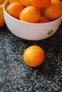 ���ս��ٸɶ�������