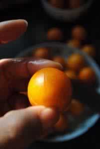 ���ս��ٸɶ�������