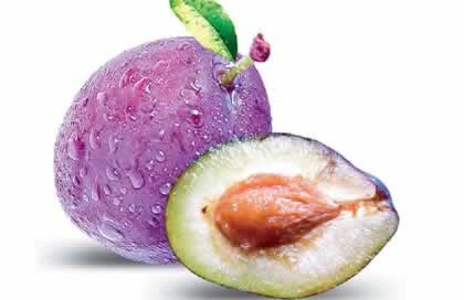 ��������������ʳ�� �Ժ�����ʲô�ô���