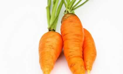 ��������������ʳ�� �Ժ�����ʲô�ô���