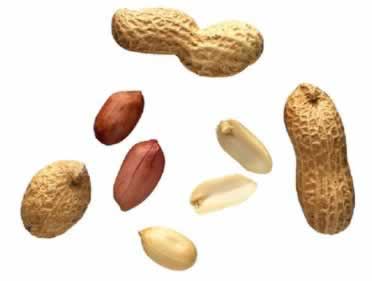 ÿ���10�Ż���������10��