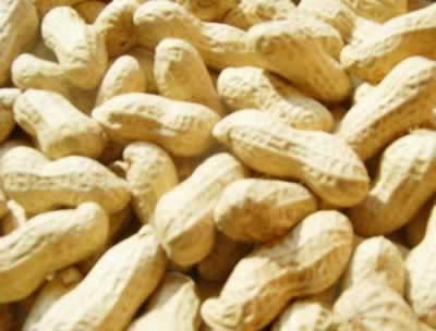 ÿ���10�Ż���������10��