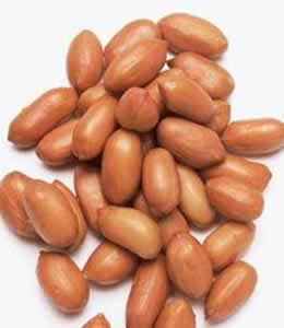 ÿ���10�Ż���������10��