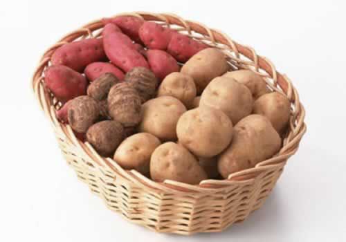 9��ʳ������纮������