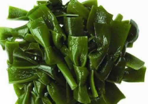 9��ʳ������纮������