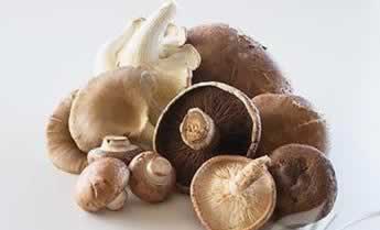 �̵�Ģ����Ϊ��֪�����ô�