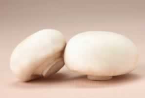 �̵�Ģ����Ϊ��֪�����ô�