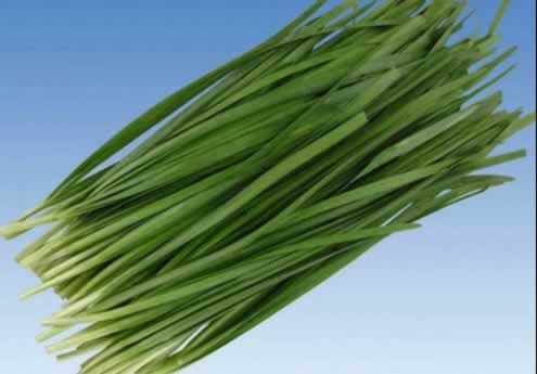 ������Ѽ���ʳ������