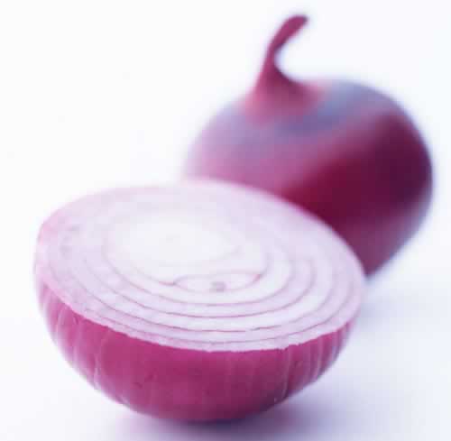 ������Ѽ���ʳ������